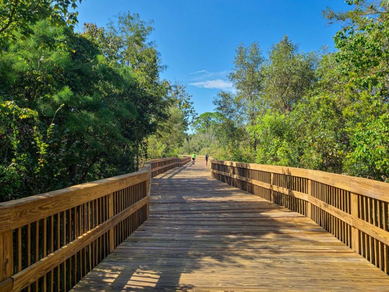 Concierge Guide to Northeast Florida Bike Trails and Cycling Routes