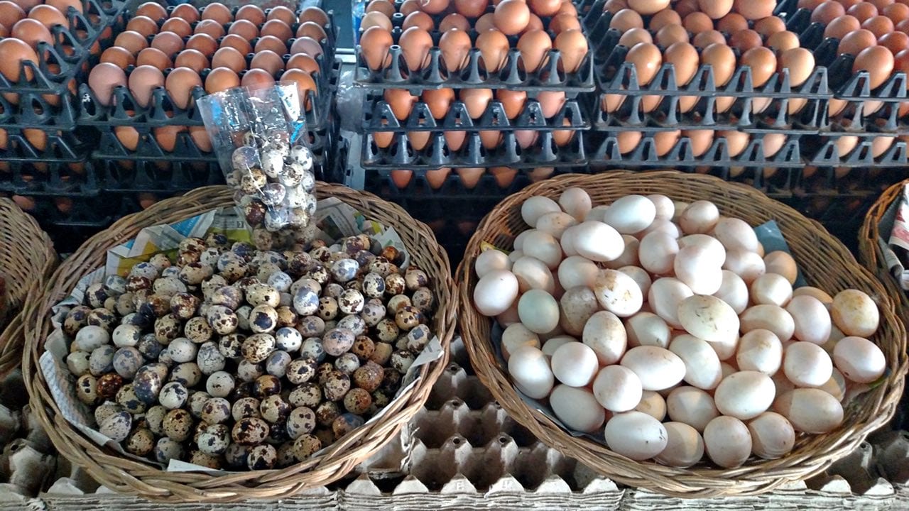 All kinds of eggs