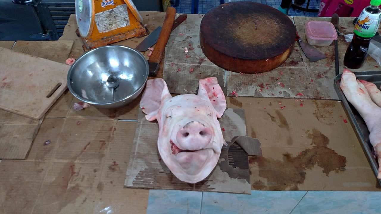 This little piggy went to market