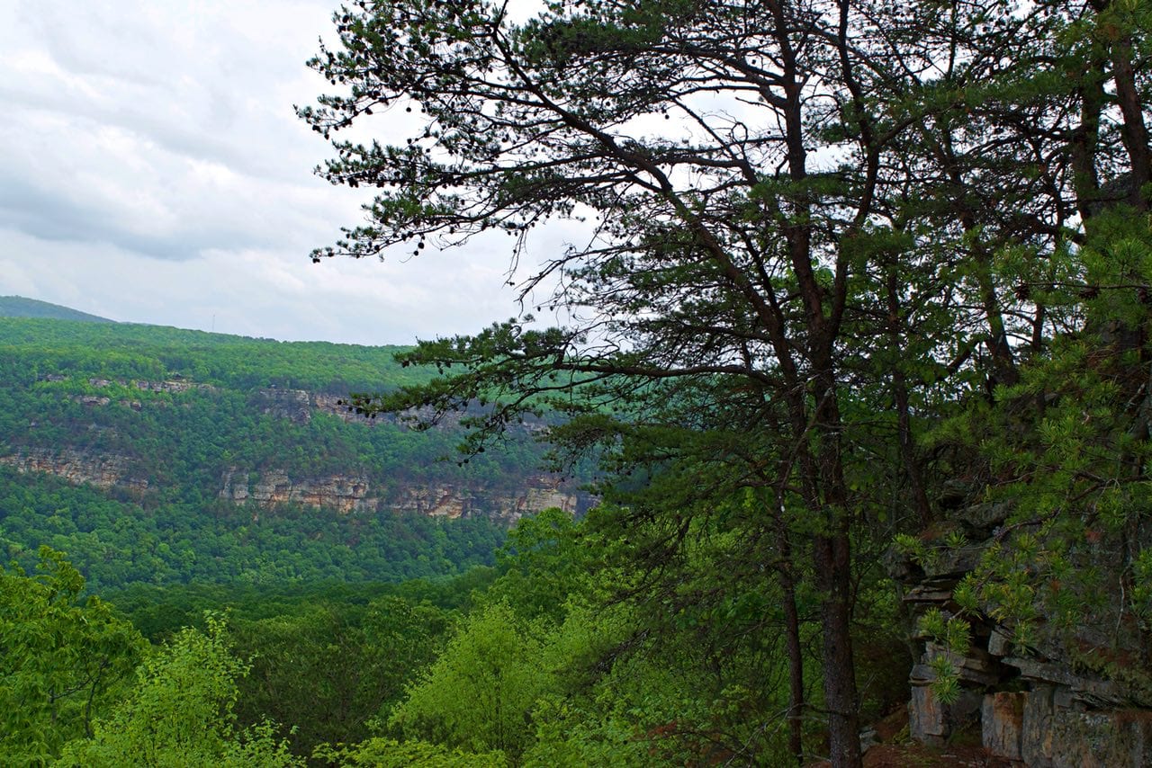 Photo tip. Create variations on the Cloudland Canyon overlook by using foreground objects