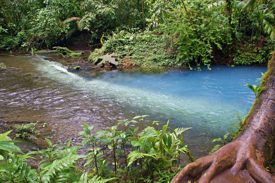 Rio Celeste Confluence with Sour Creek, where the water turns blue