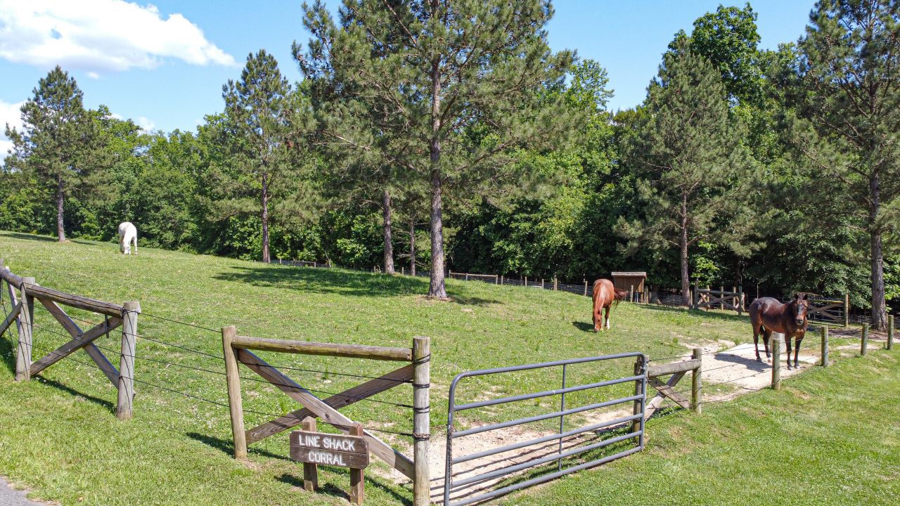 Pastures at the Stables