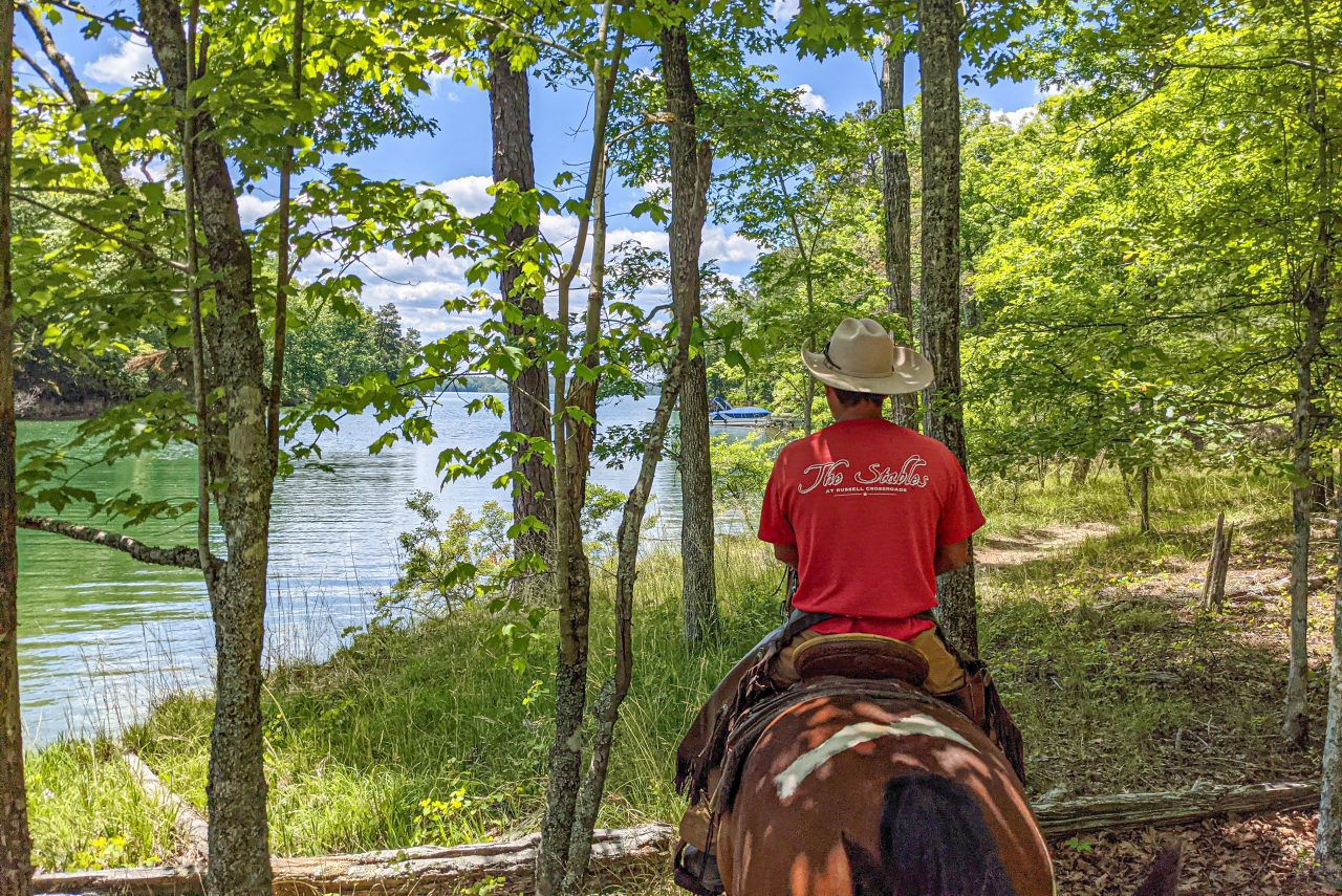 Cowboy leading a trail ride