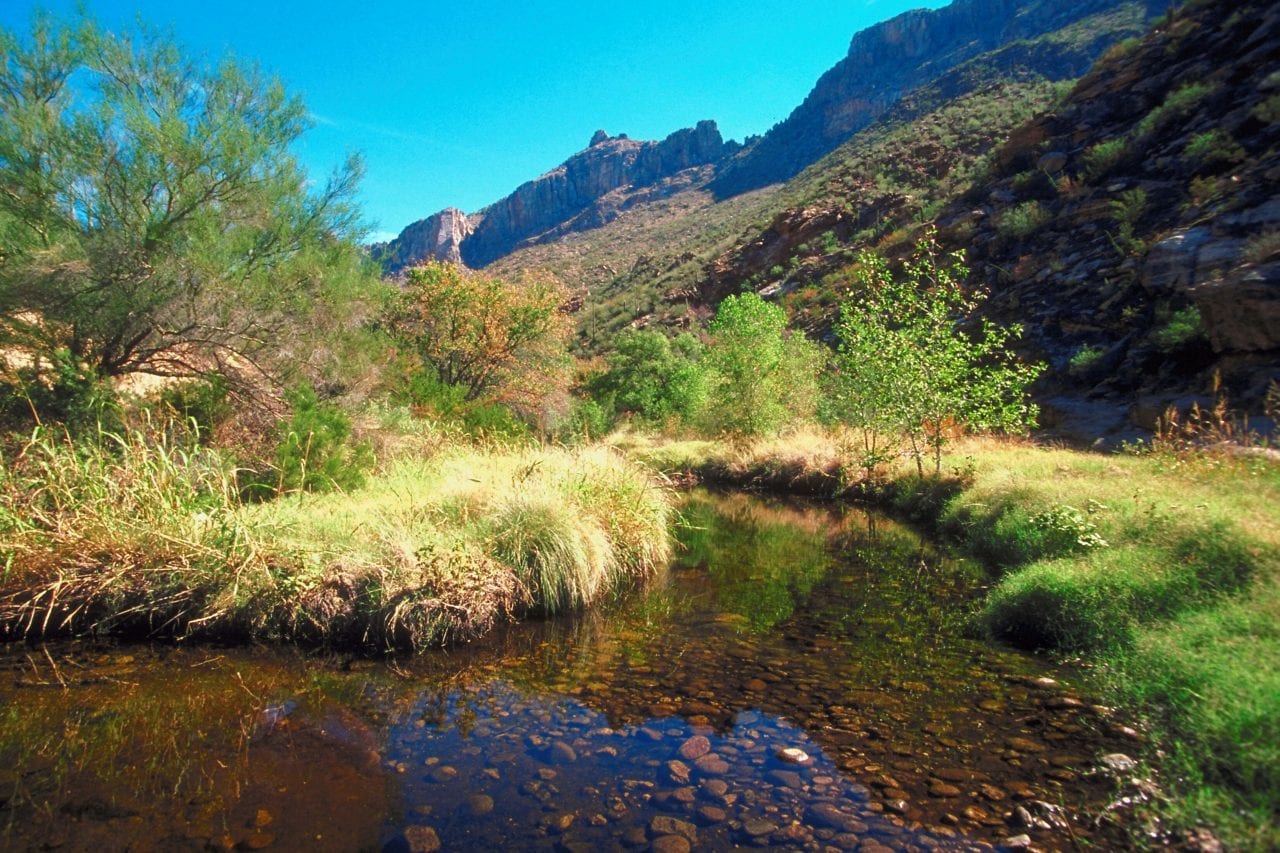 Sabino Canyon Tucson via Canva
