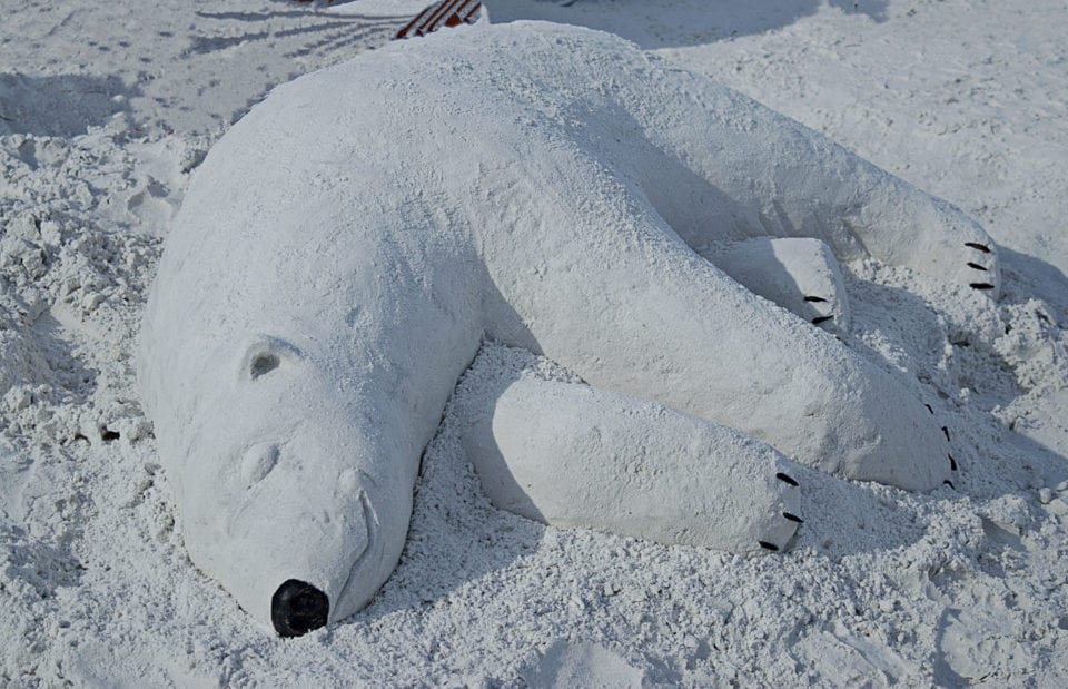 Sleeping Polar Bear Sand Sculpture Siesta Key