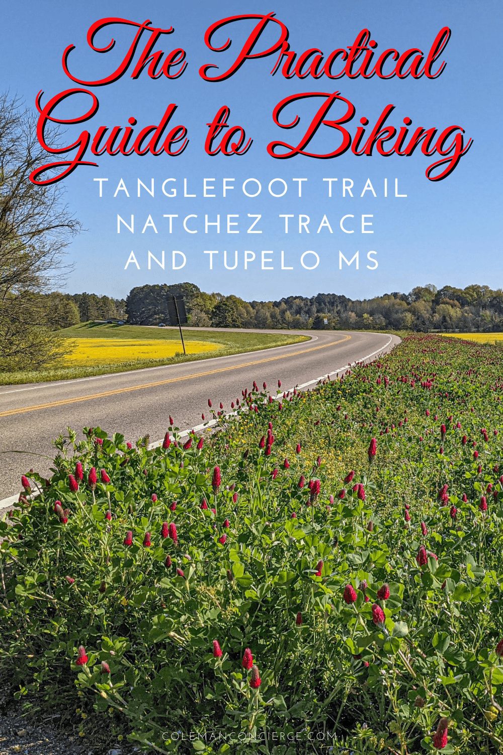 The Natchez Trace road and wildflowers