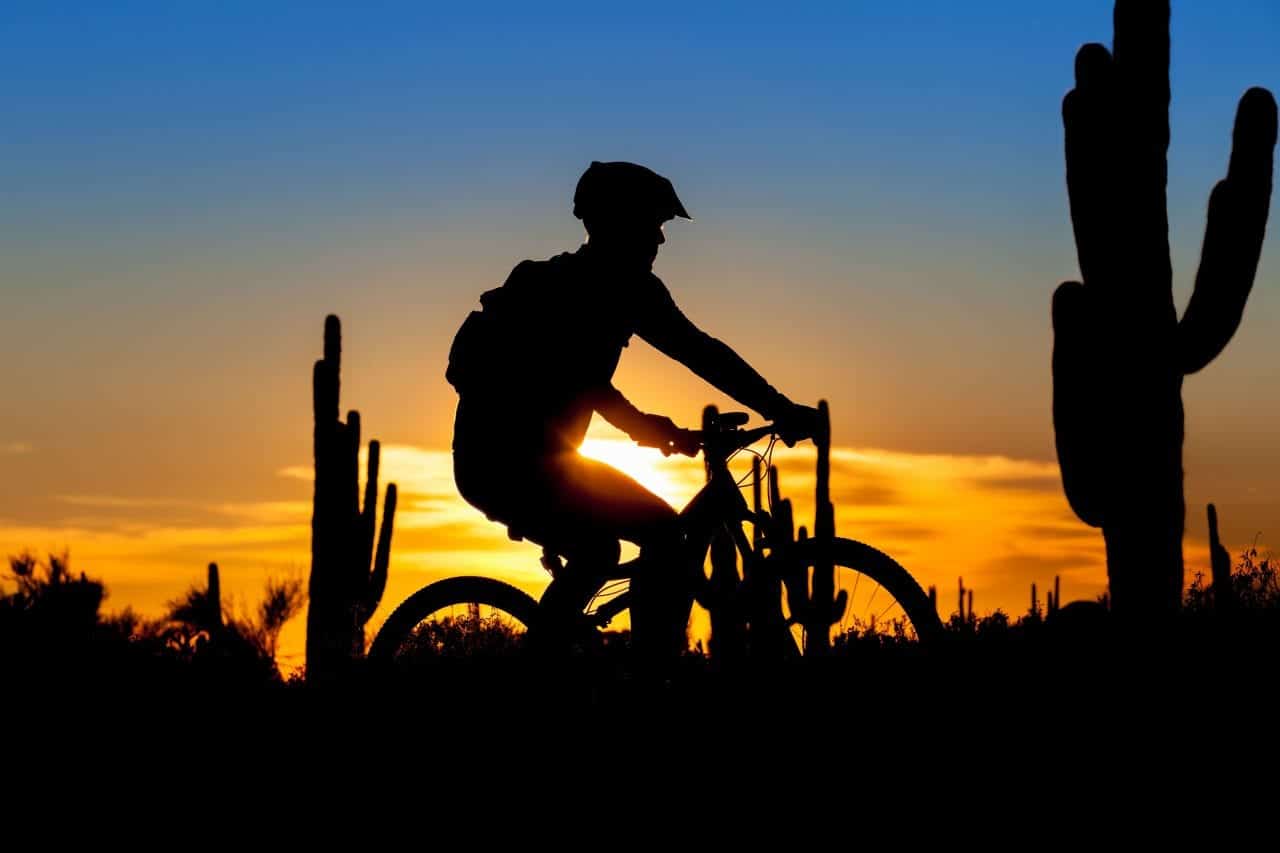 Tucson Mountain biking