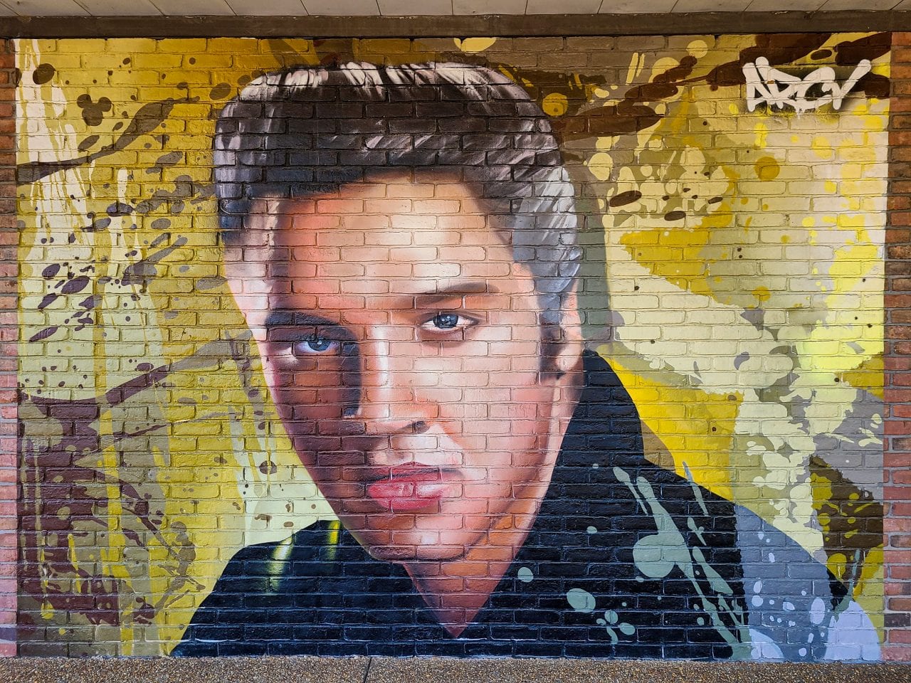 Elvis Mural at Tupelo