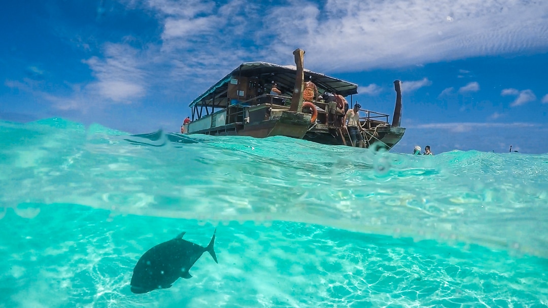 Swimming with giant Trevally in the Cook Islands by Cat (Fortwoplz)