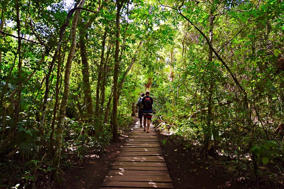 Ed and Jose Walking through Sian Kaan Biosphere