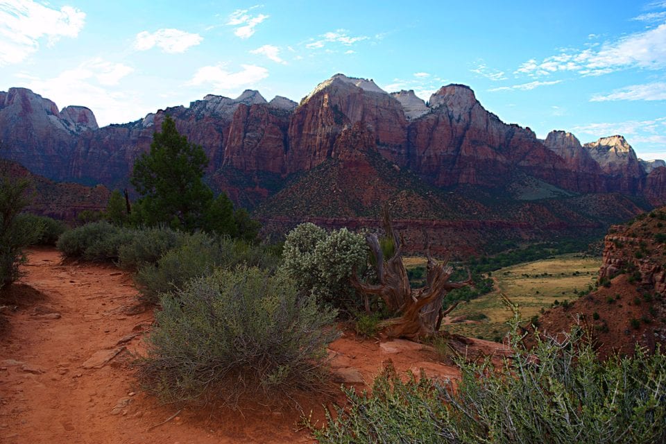 A small, easy loop takes you to the Watchman Lookout once you reach the mesa.