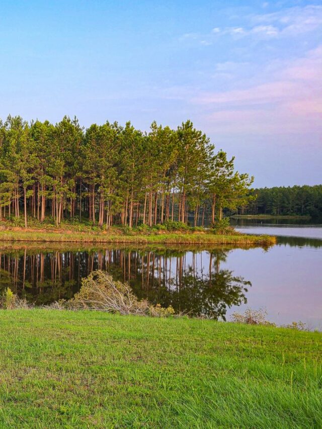 Super Fun Things to do in Hattiesburg MS for Outdoor Lovers