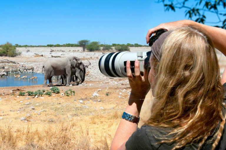 How Safari Photography Can Help Save Wildlife