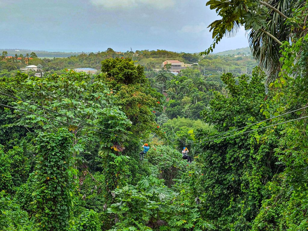 Rainforest Zipline Park Fajardo Puerto Rico-13