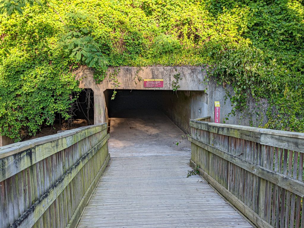 Underpass on the Walnut Creek Trail