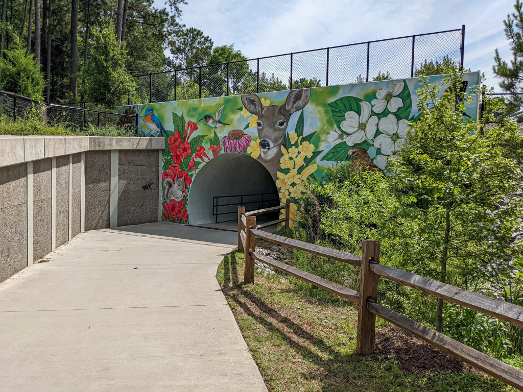 Bike Tunnel at Davis Drive Park - White Oak Greenway - Cary NC