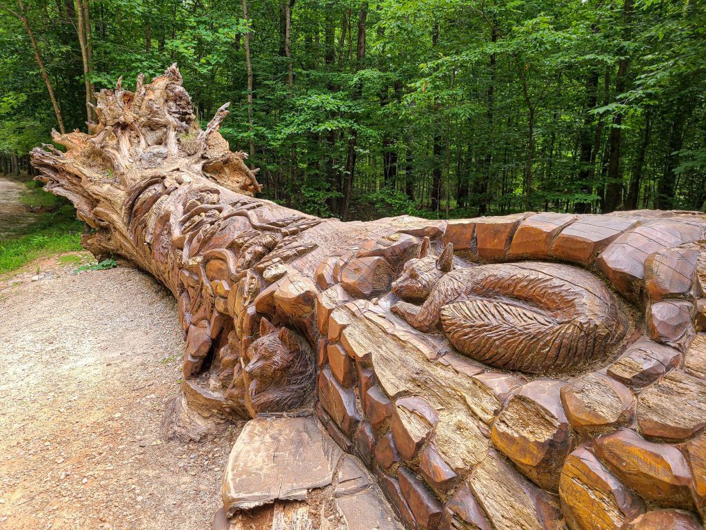 Chainsaw Art at William B. Umstead State Park Raleigh, North Carolina