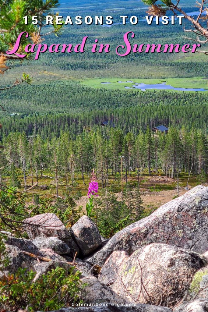 Many people spend their summers in Lapland enjoying fresh air and expansive nature under the midnight sun. The Finnish summer holds far more delights, from delicious food and unique accommodations to mythical creatures and magical light. Read on to discover the 15 reasons to visit Lapland in the summer.
#midnightsunambassador #midnightsunlapland #lapland #yllas #visityllas #levilapland #visitlevi  #finland