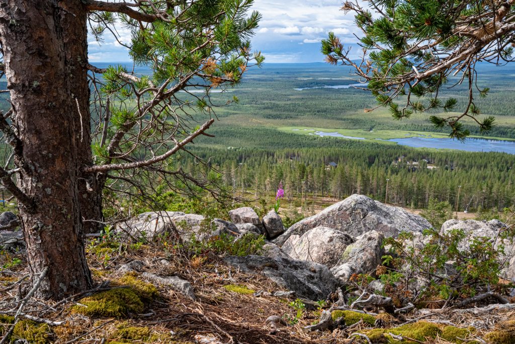  A view from Levi Fell in Lapland, Finland