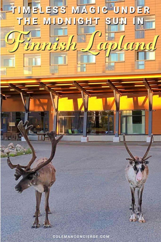 Reindeer in front of hotel in Levi Finland