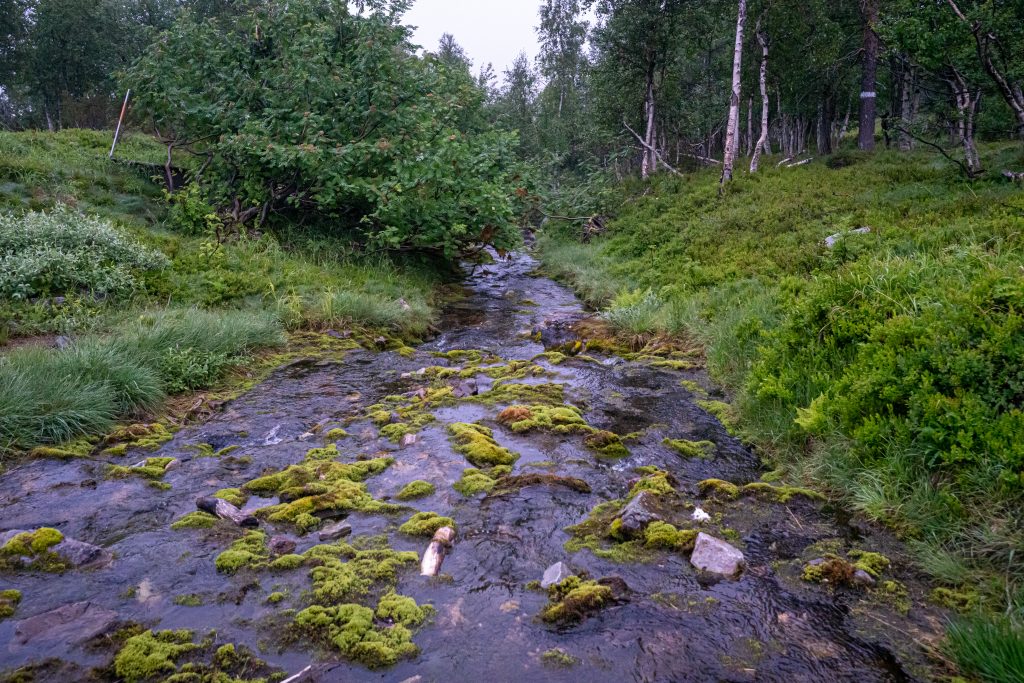 Hiking by a forest stream in Pallas-Yllästunturi National Park, Finland