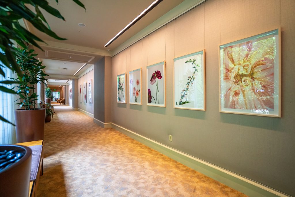 Umstead Hotel Raleigh North Carolina- curated art collection from local artists