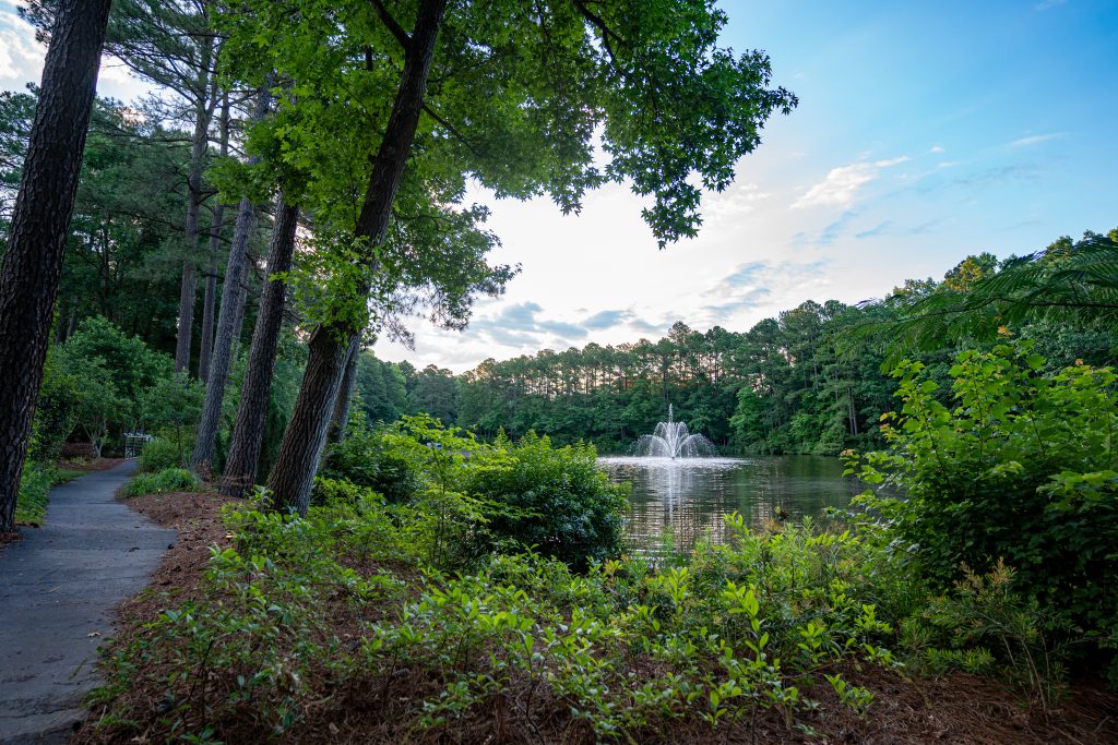 Umstead Hotel Raleigh North Carolina- restored pond habitat