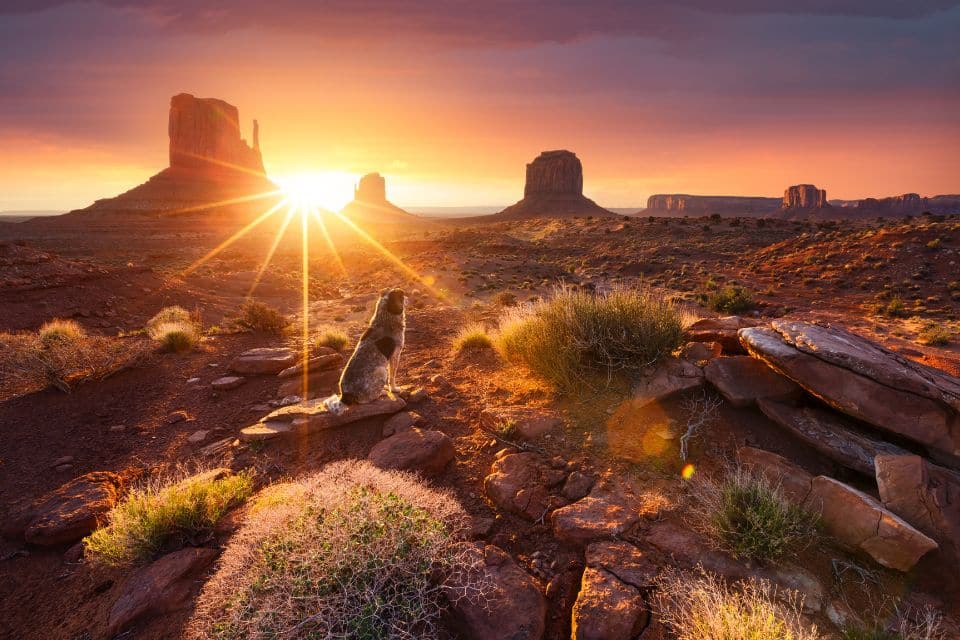 Monument Valley sunrise Arizona via Canva
