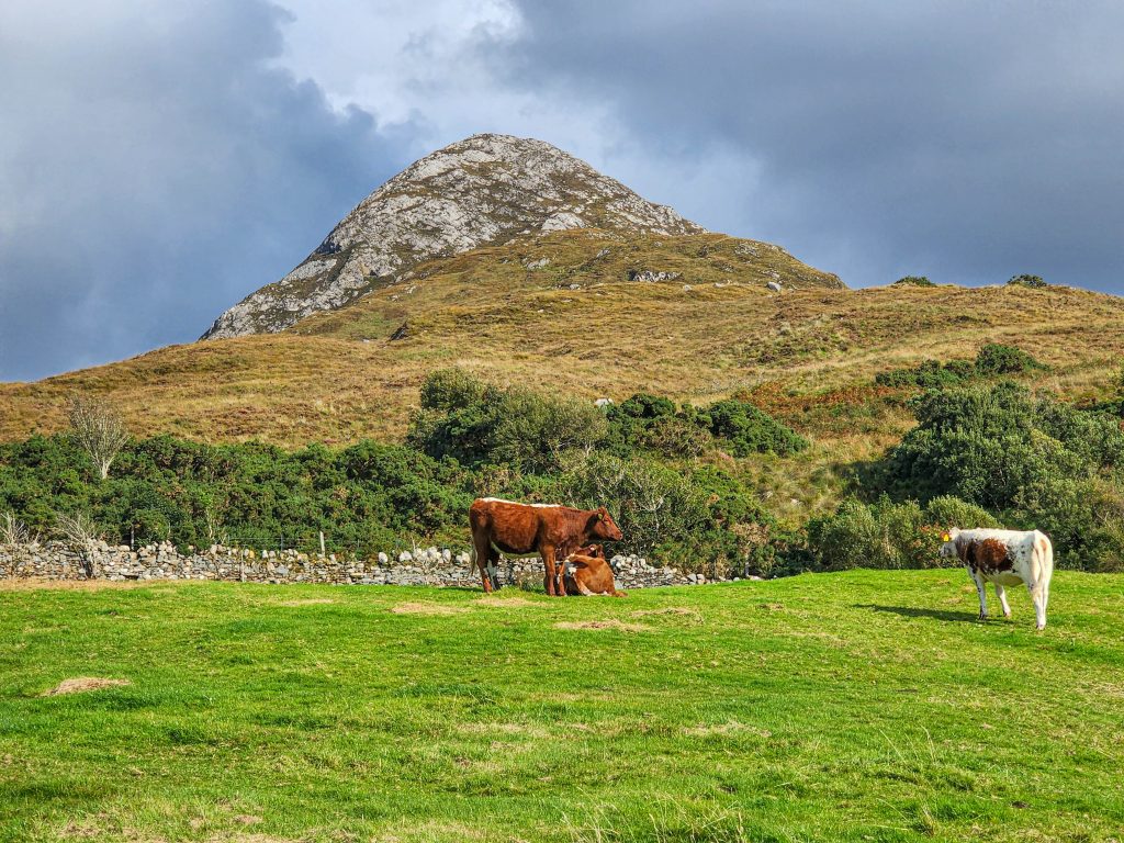 Diamond Hill in Connemara National Park Ireland