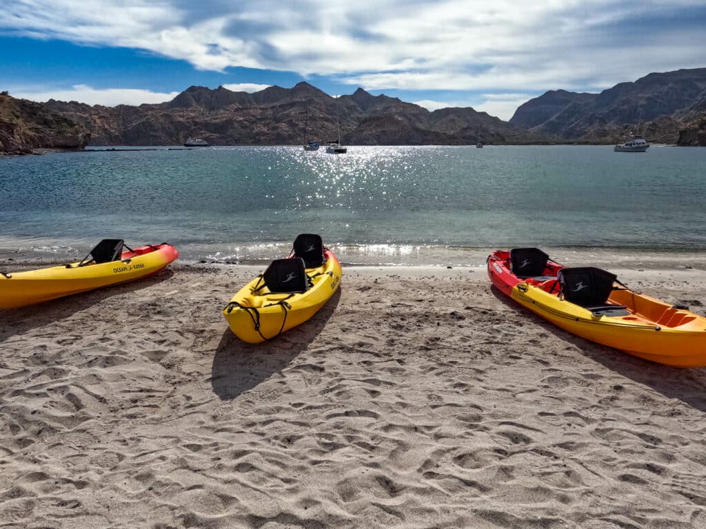 Kayaking on the Baja UnCruise