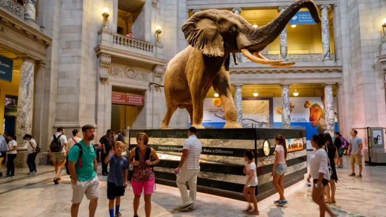 27 Washington DC Museums That’ll Satisfy Your Curiosity