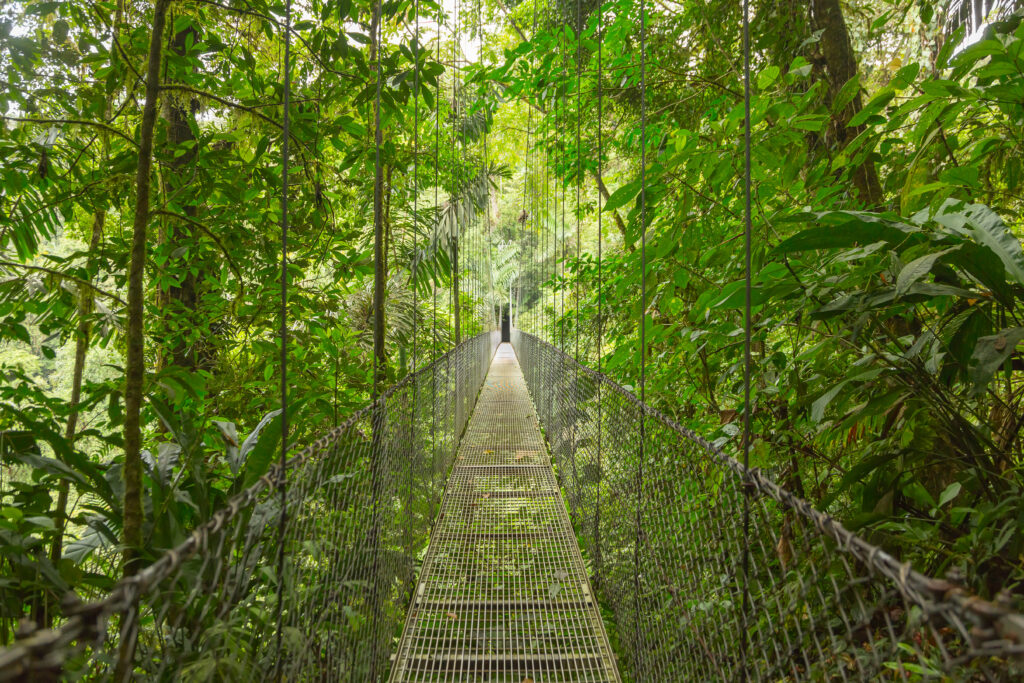 Hanging bridge in Costa Rican jungle