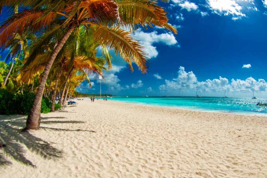 Tropical beach in Dominican Republic. Caribbean sea. Saona island