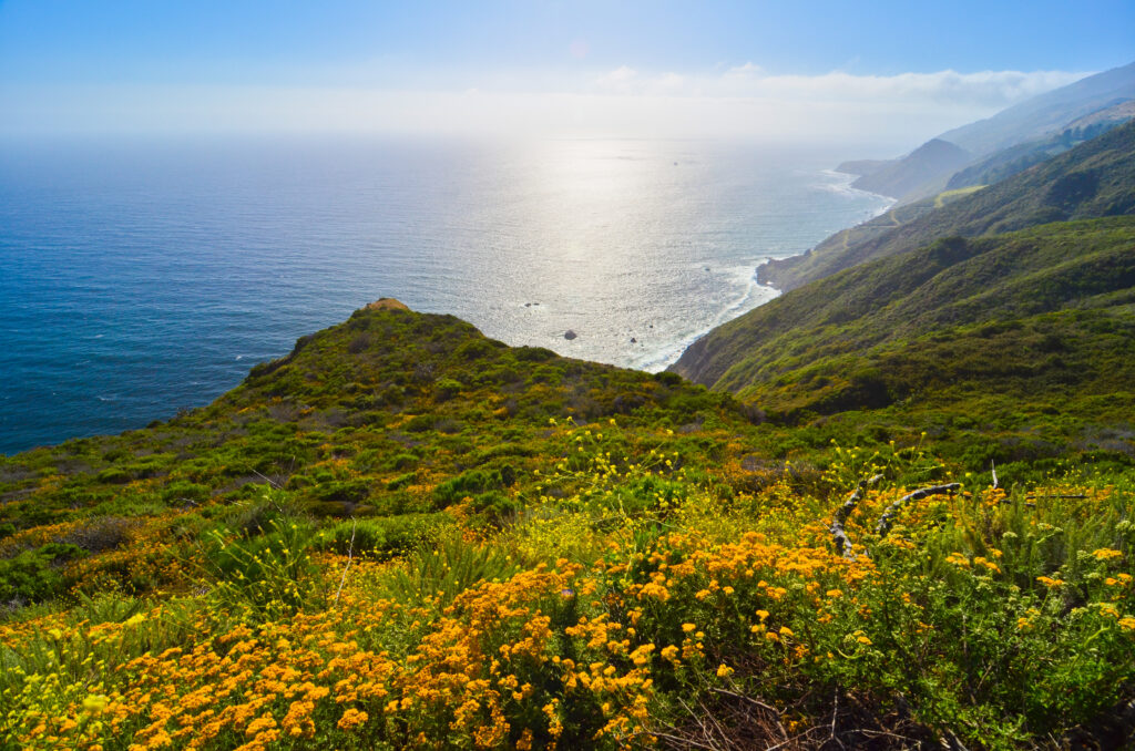 California SR1 is one of the most beautiful coastlines in the world.