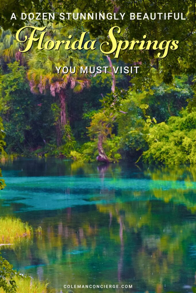 A Dozen Stunningly Beautiful Florida Springs You Must Visit - Coleman  Concierge