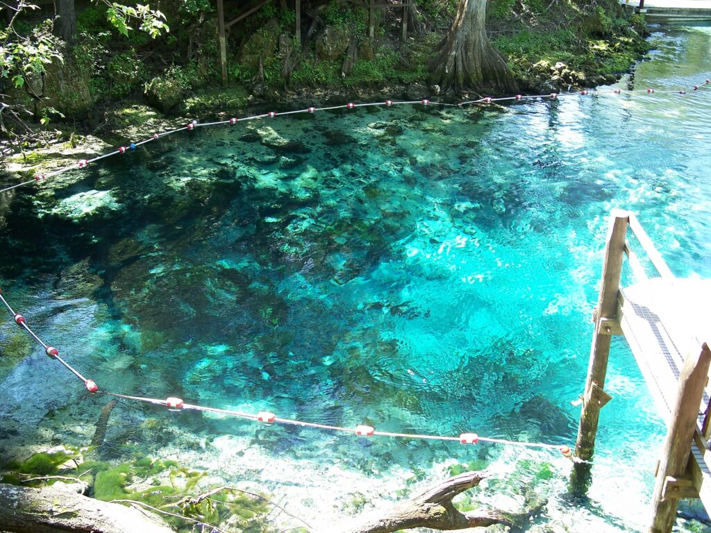 A Dozen Stunningly Beautiful Florida Springs You Must Visit