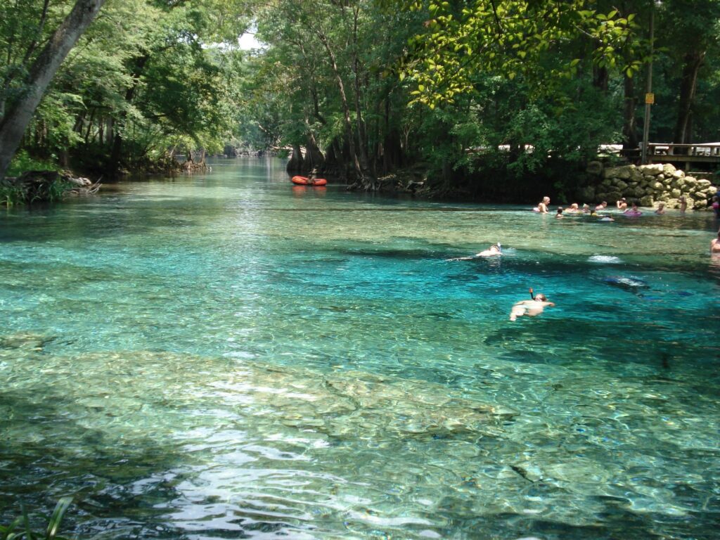 Ginnie Springs has been characterized as the world's favorite freshwater dive with clear water and startling natural beauty