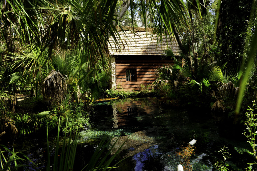 An old Civilian Conservation Corps mill house with a waterwheel beside the Juniper Springs provides an Insta-worthy backdrop.