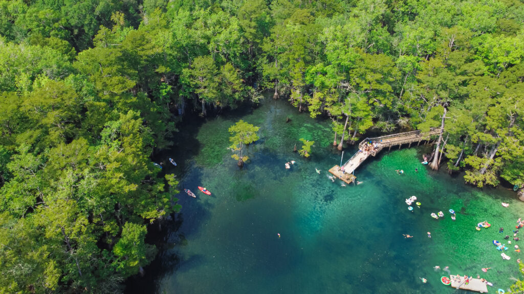 Lush green bald cypress tree surrounding turquoise blue water Morrison Springs County Park in Walton County, Florida, USA people enjoy kayaking, river floating, jumping off deck. Aerial view outdoor
