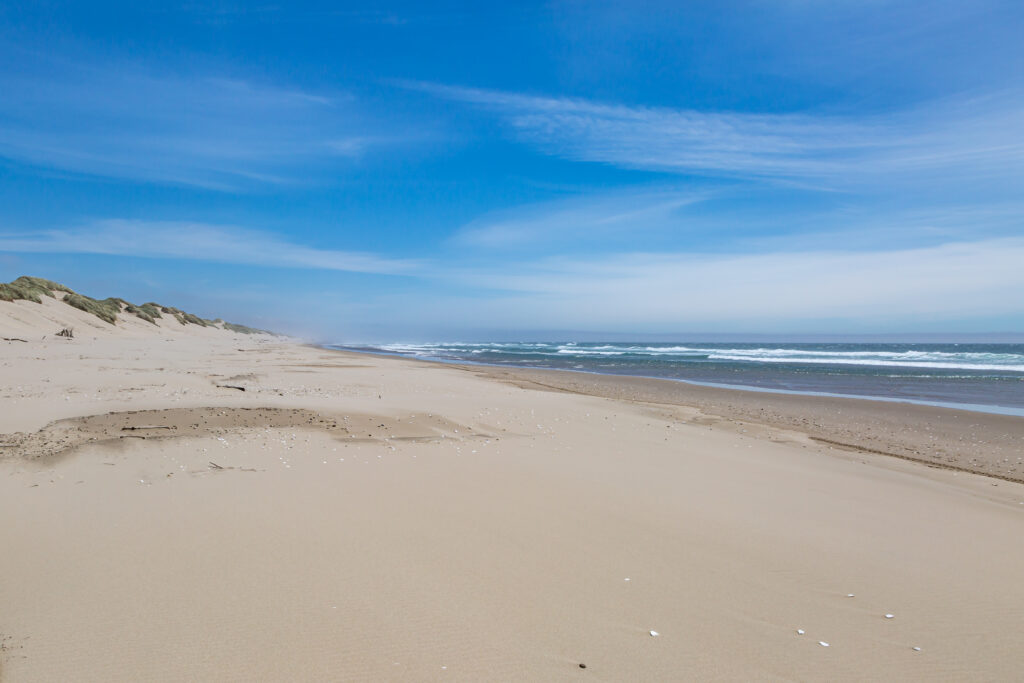 Looking out over a vast sandy beach at Oregon Dunes National Recreation Area