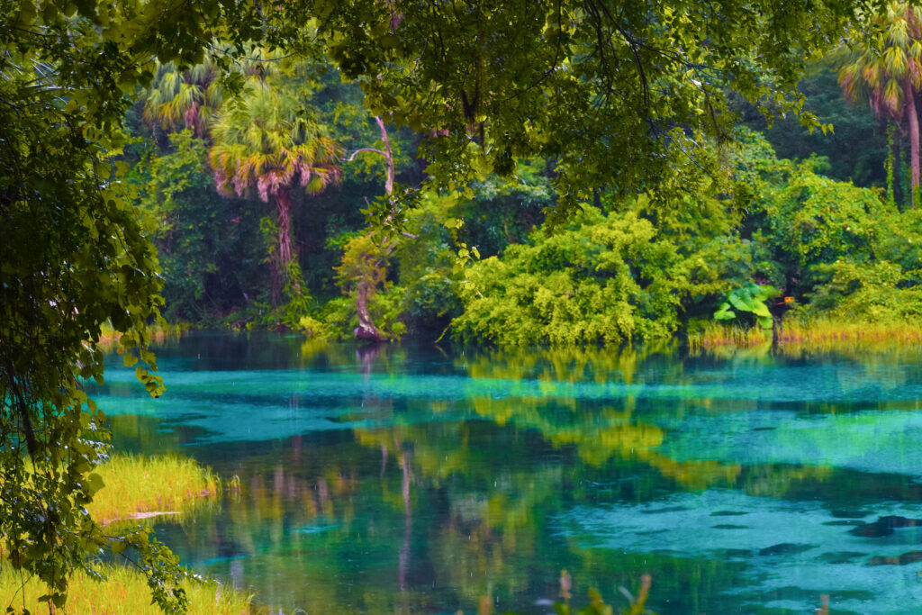 Turquoise waters of the fresh water springs of Florida during a rain storm