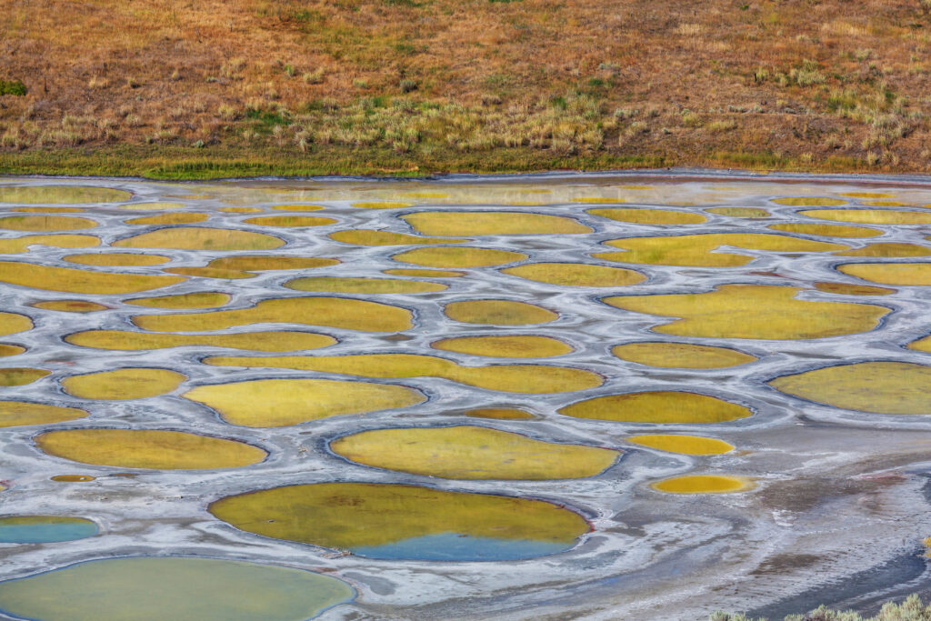 Spotted Lake in British Columbia, Canada