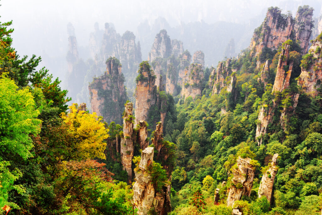 Top view of natural quartz sandstone forest among colorful fall woods in the Tianzi Mountains (Avatar Mountains), the Zhangjiajie National Forest Park, Hunan Province, China. Amazing landscape.