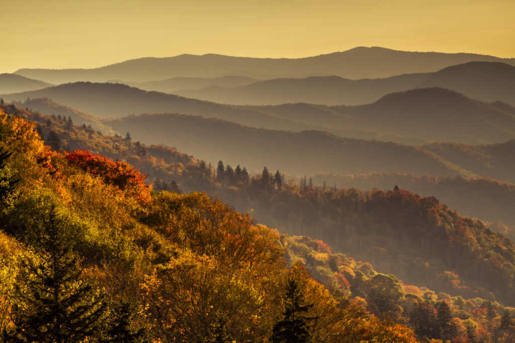 Hazy mountain layers with colorful autumn foilage just after sunrise in Great Smoky Mountains National Park