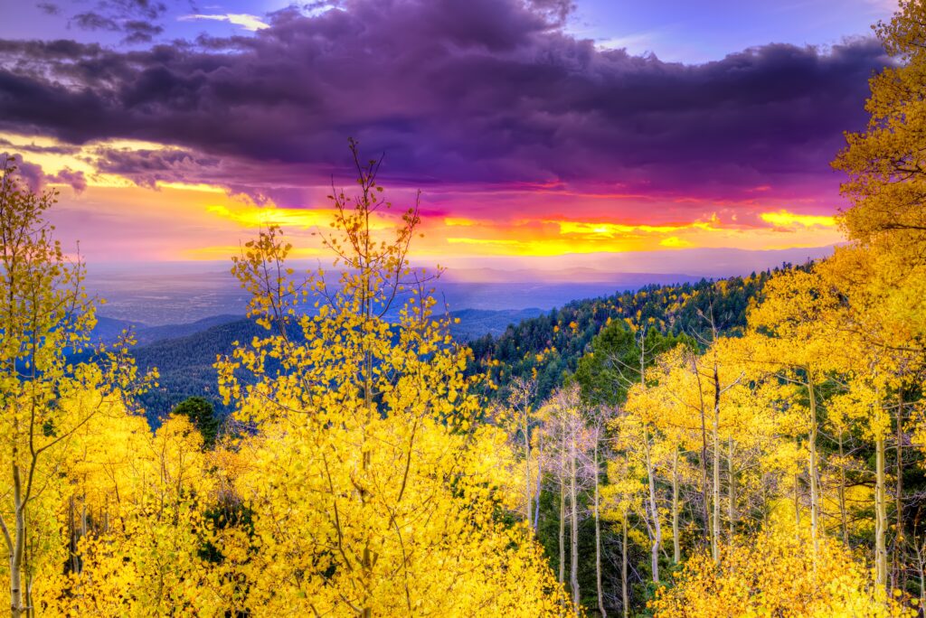 New Mexico fall mountain sunset featuring golden aspens and rays of sunlight