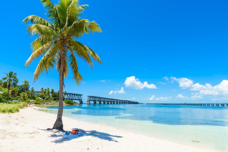 Escape to Florida! Tropical Paradise Without Sacrificing Your Savings