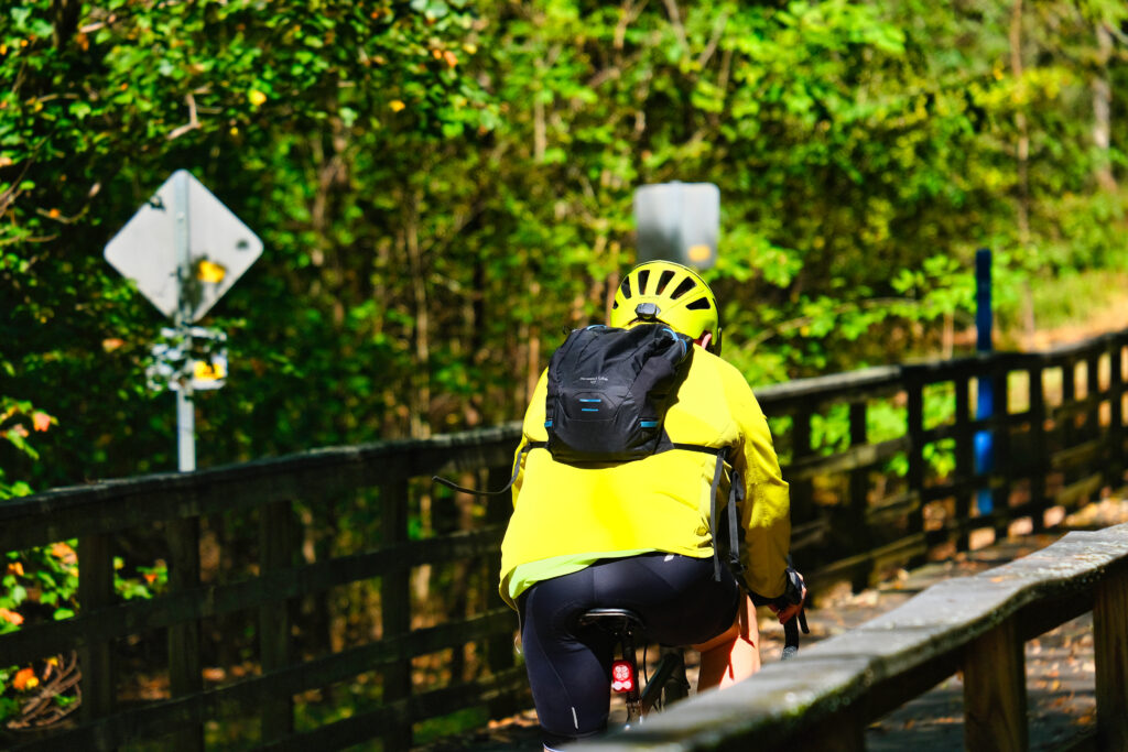 The Big Creek Greenway is over 20 miles of paved and board fitness trails spanning two counties north of Atlanta through lush green wetlands.