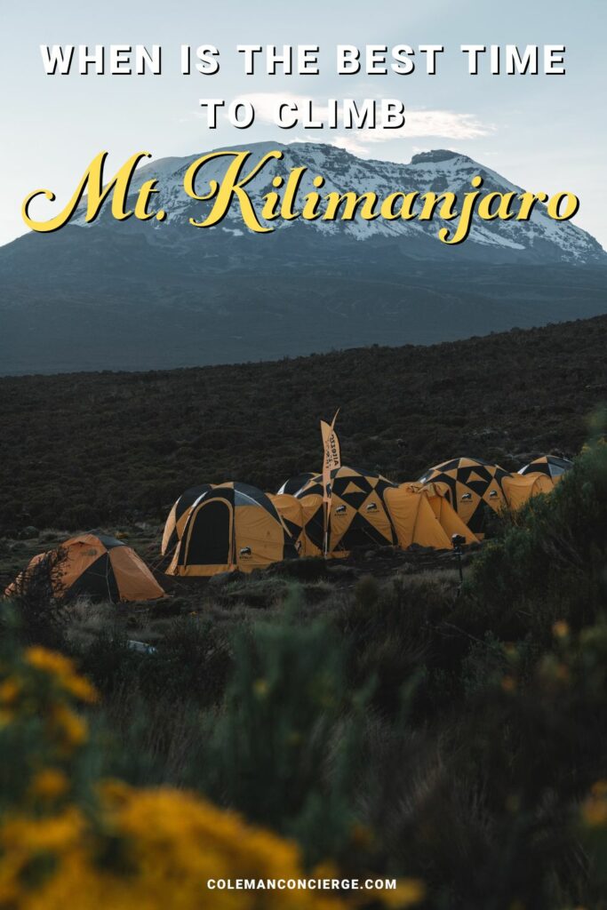 Tents set up under Mt Kilimanjaro