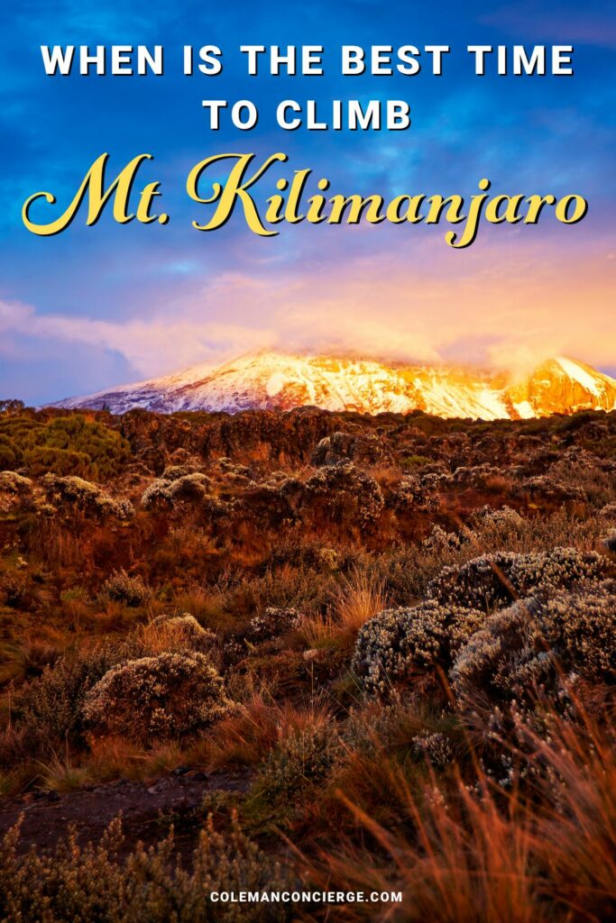 Alpine glow over Mt Kilimanjaro