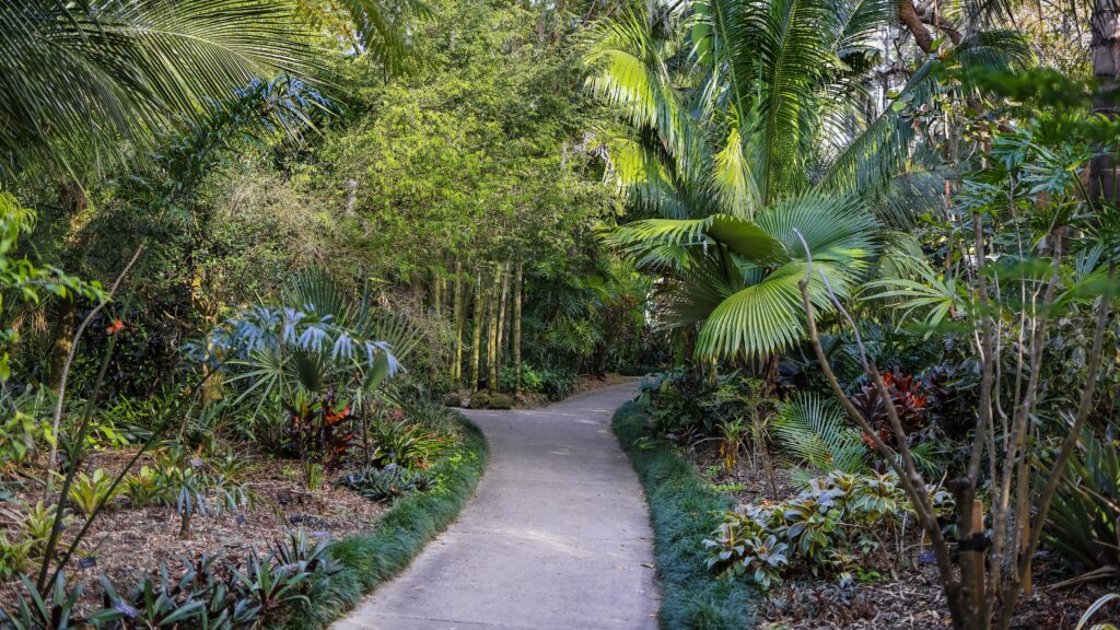 Tropical plant garden in side Harry P Leu gardens in Orlando, Florida.